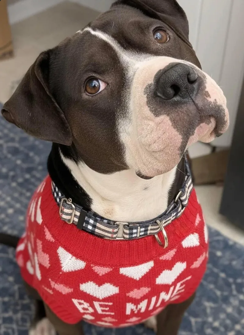 Rilo Gravy thumbnail 3