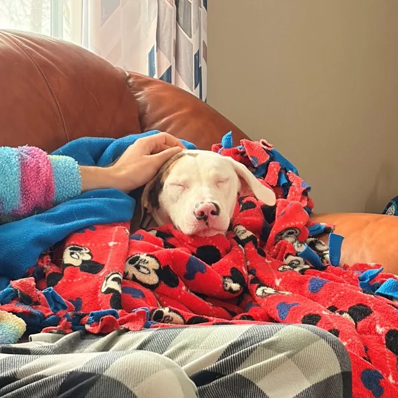 Molly thumbnail 4