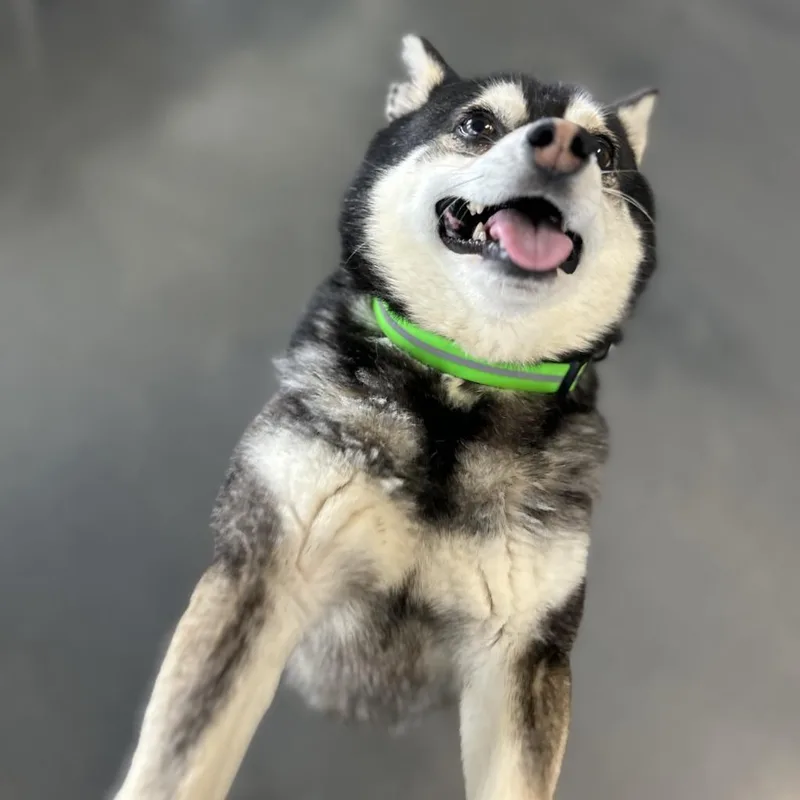 Jimothy thumbnail 3