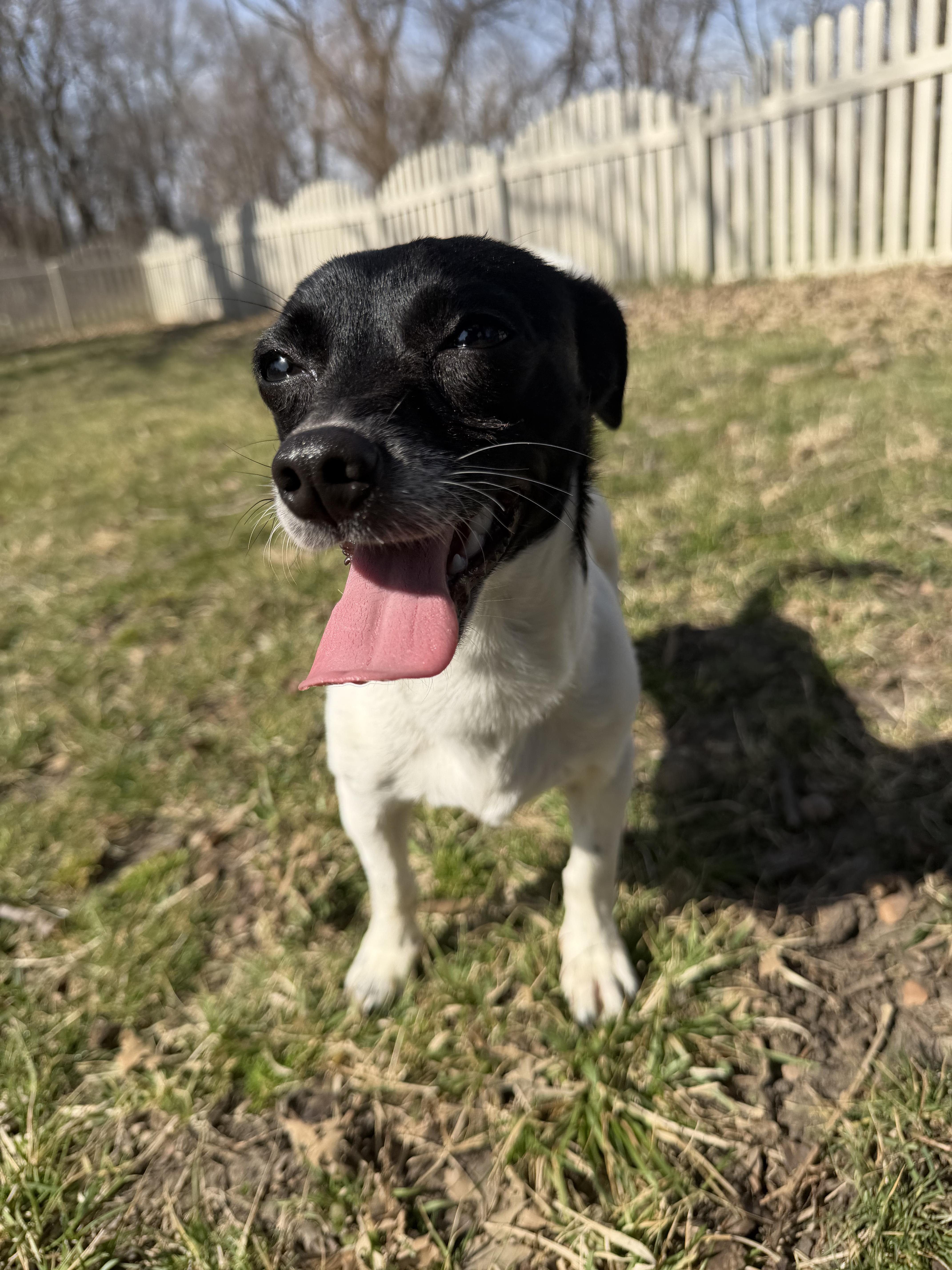 Clarisse thumbnail 2