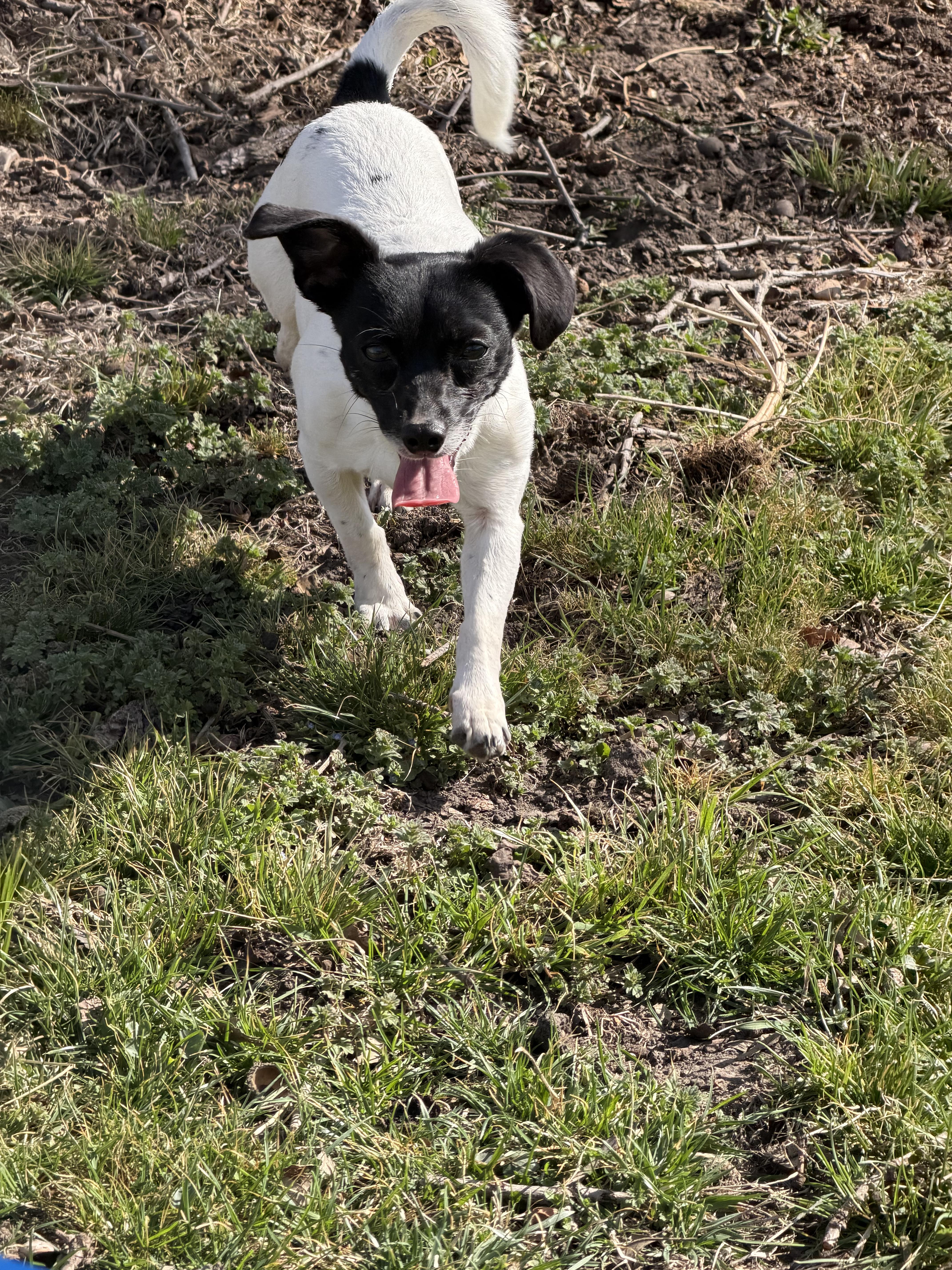 Clarisse thumbnail 3