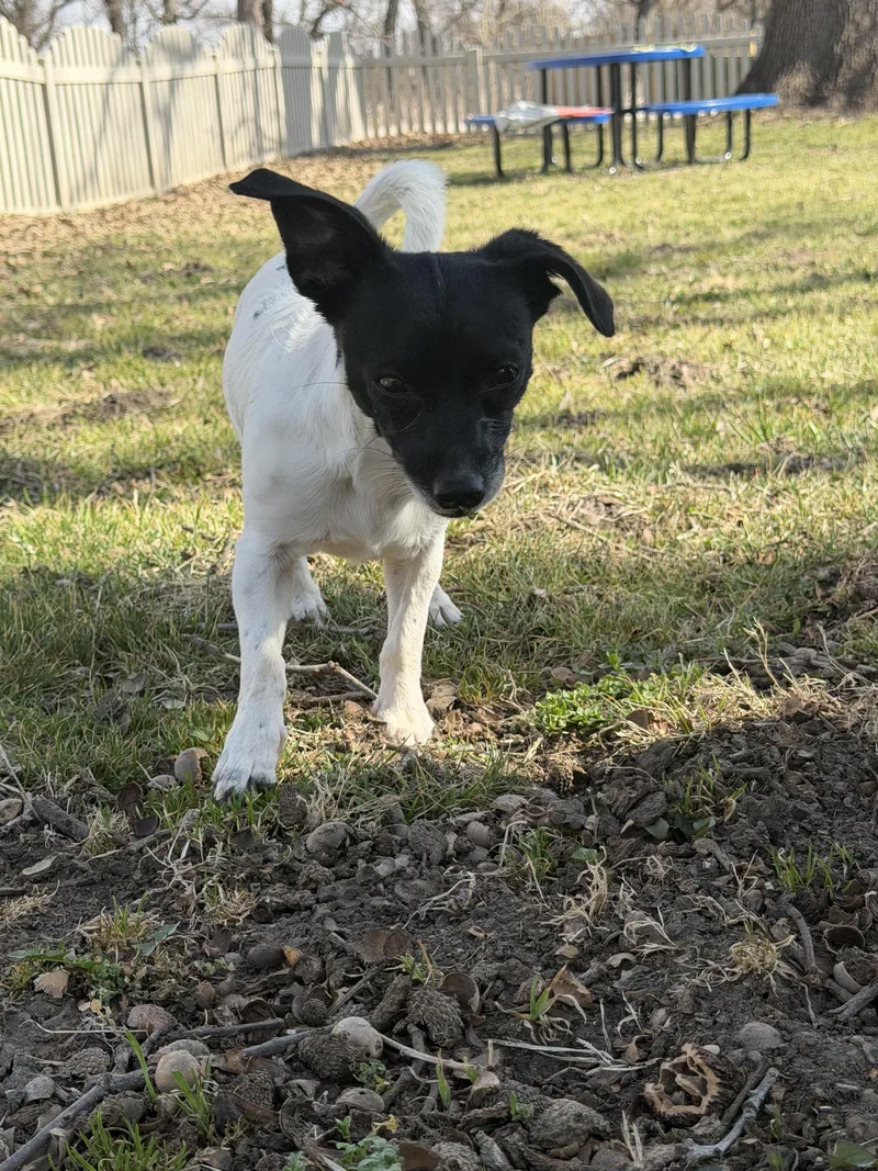 Clarisse thumbnail 5