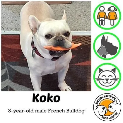 Koko