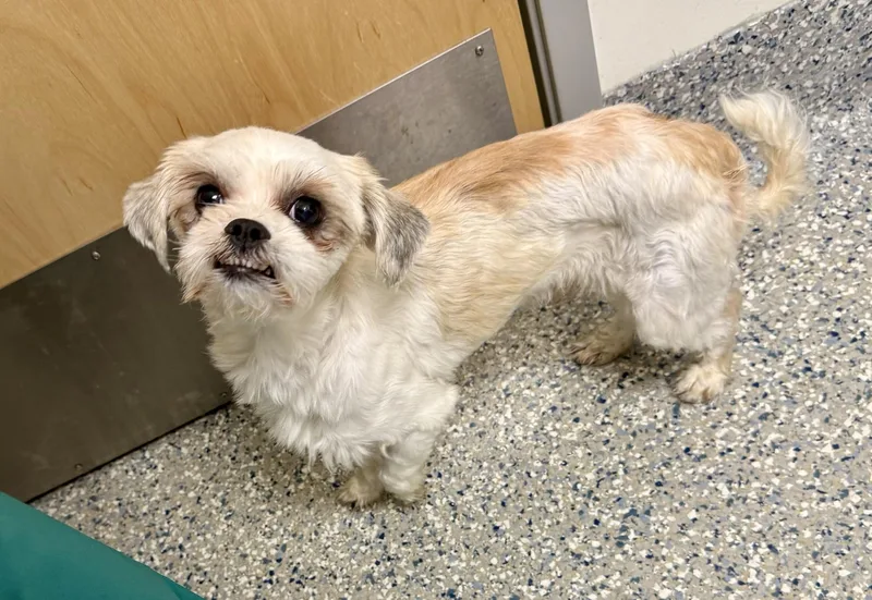 Kendrick thumbnail 2