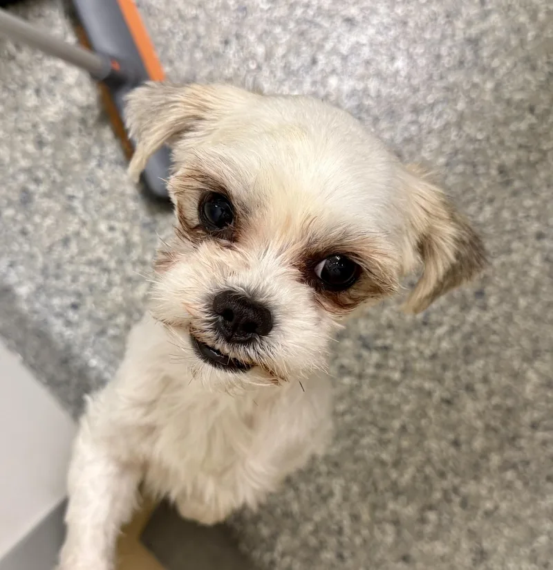 Kendrick thumbnail 3