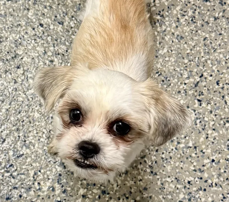 Kendrick thumbnail 4