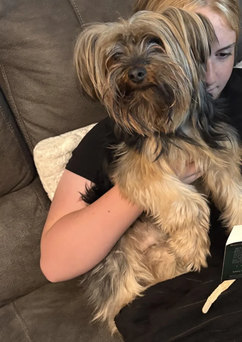 Mylo