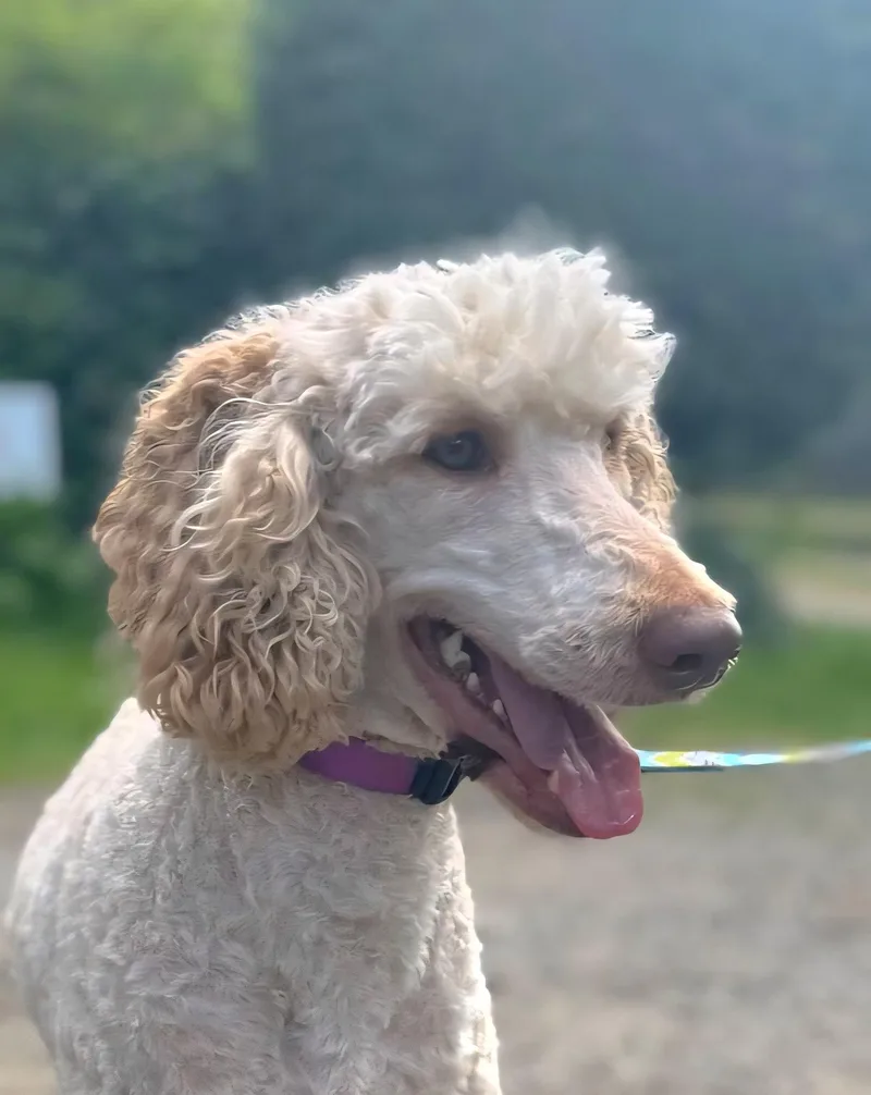 Celeste & Orion thumbnail 2