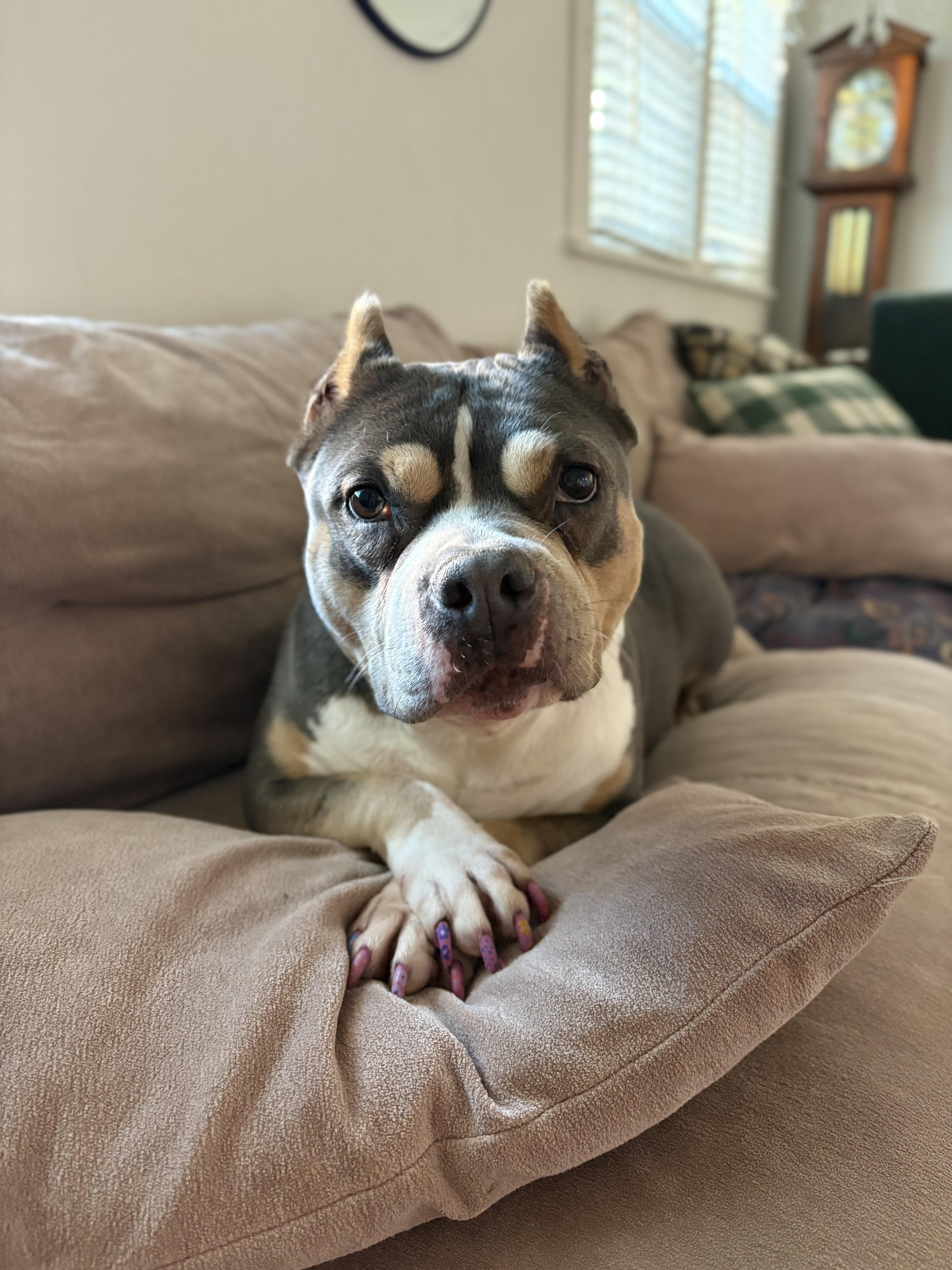 Brooklyn  Professional Sunbather thumbnail 5