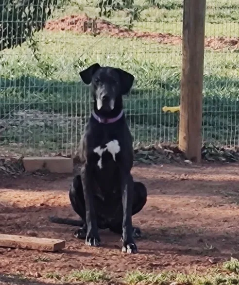 Cinderella-Rella thumbnail 7