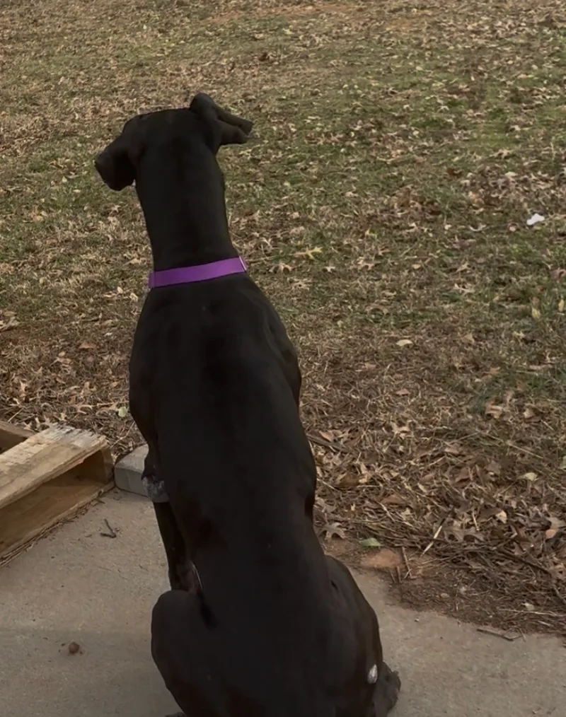 Cinderella-Rella thumbnail 6