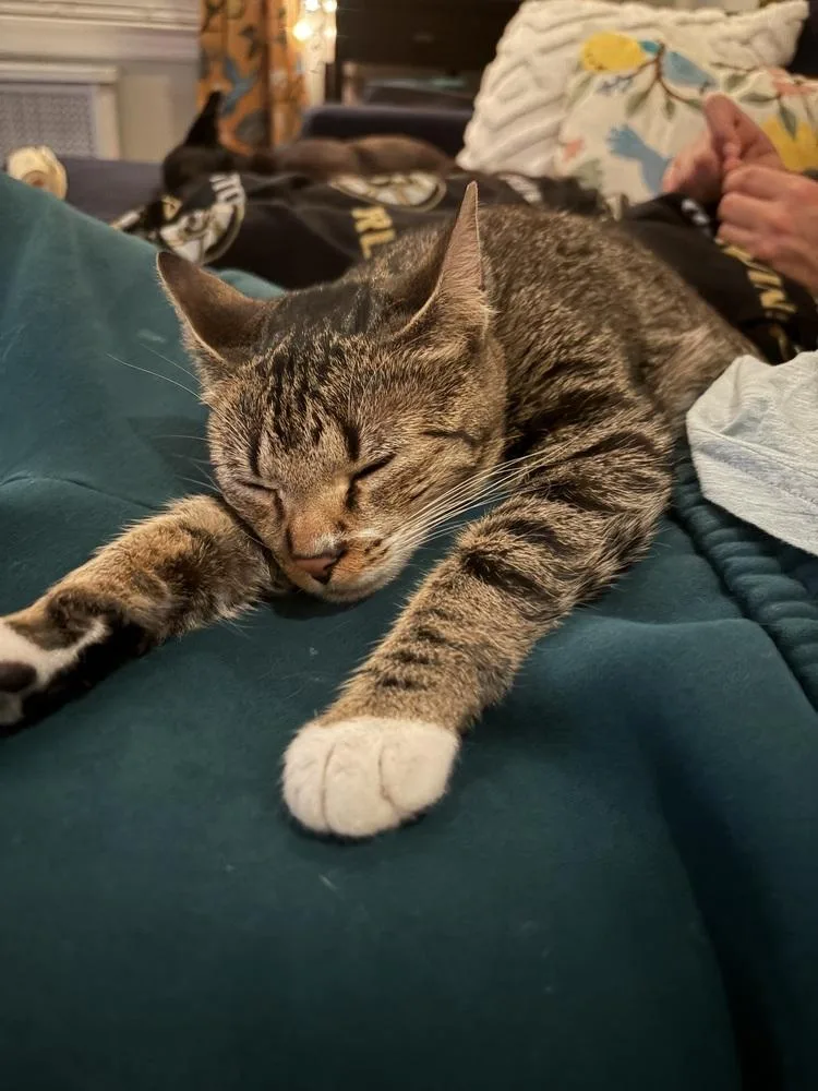 Kit Kat