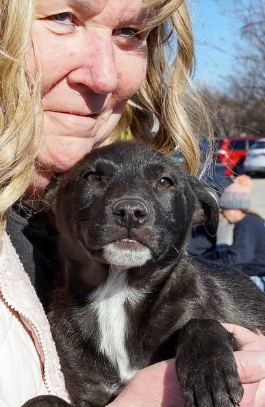 Nebula Litter:  Bella thumbnail 3