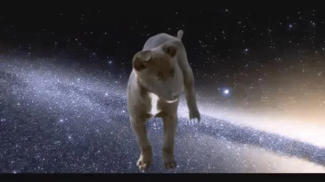 Nebula Litter:  Bella thumbnail 5