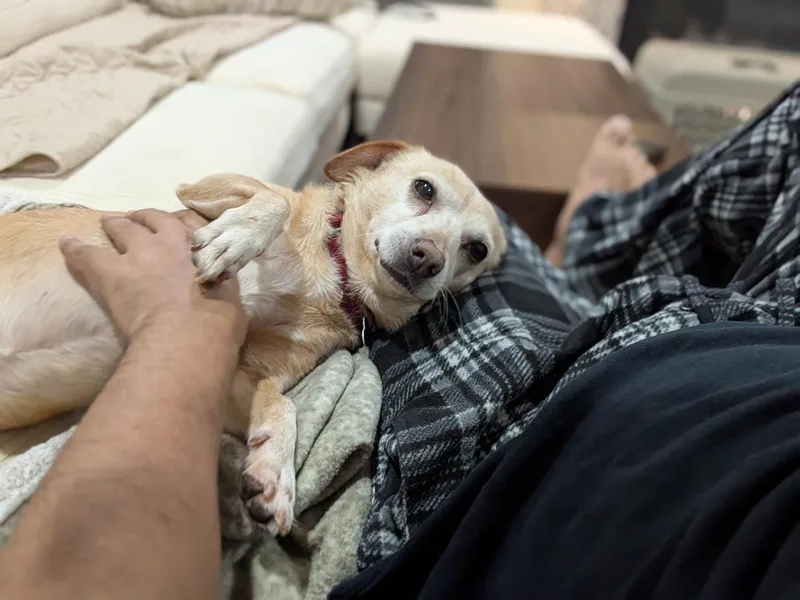 Cherokee thumbnail 4