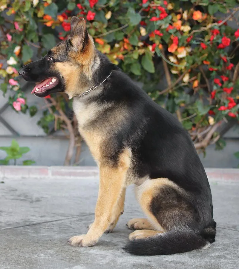 Ella Von Eldena thumbnail 2