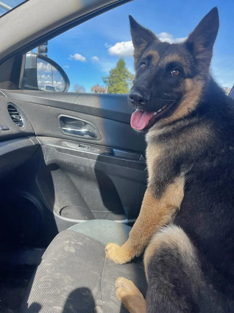 Ella Von Eldena thumbnail 5