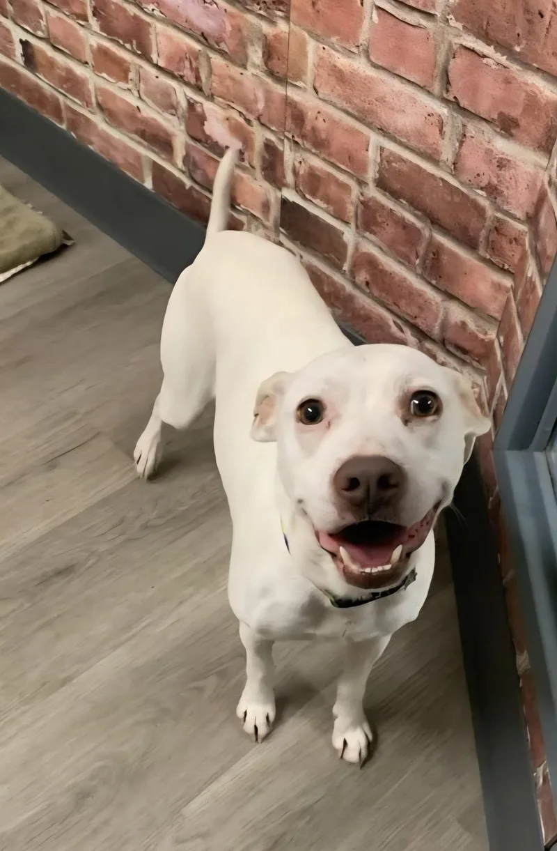 Rayleigh thumbnail 3