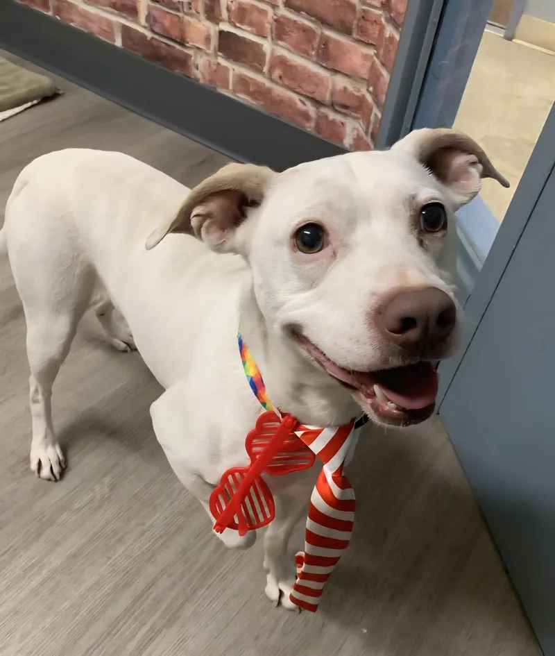 Rayleigh thumbnail 4