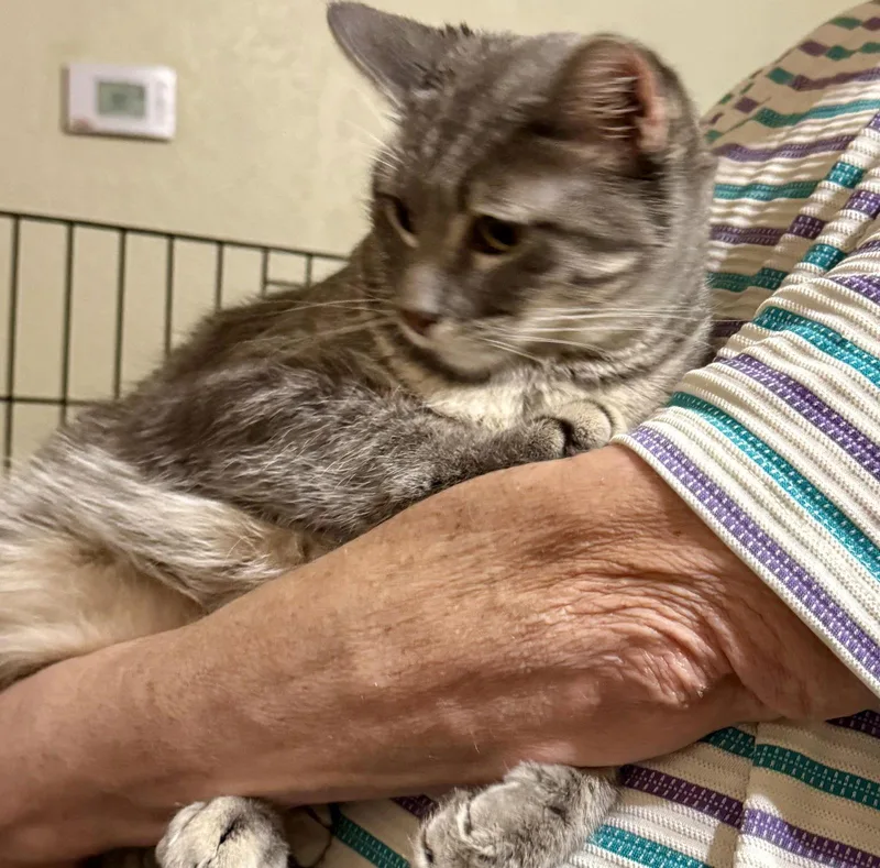 Johnny Walker thumbnail 2