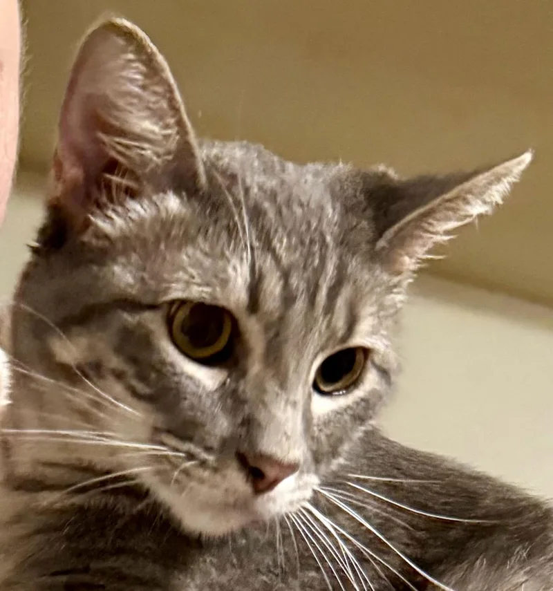 Johnny Walker thumbnail 3