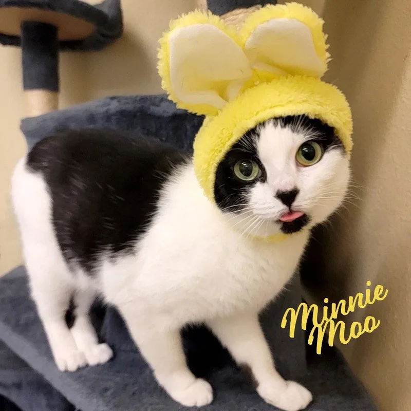 Minnie Moo Lovemachine