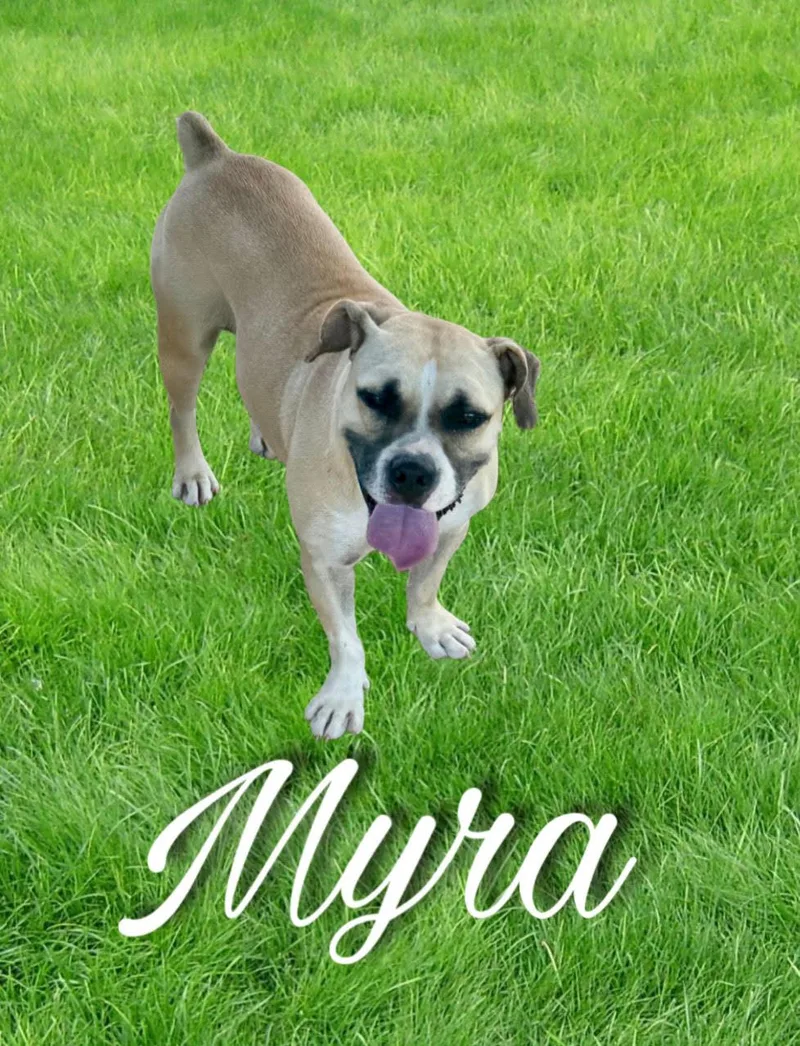 Myra