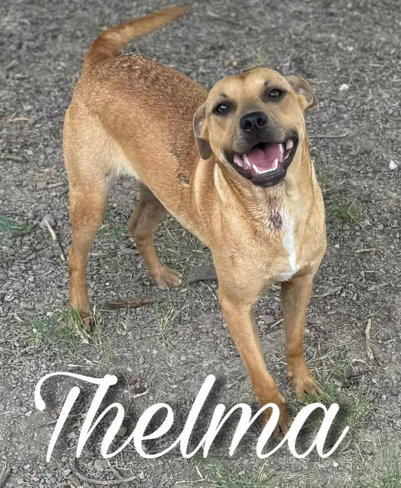 Thelma