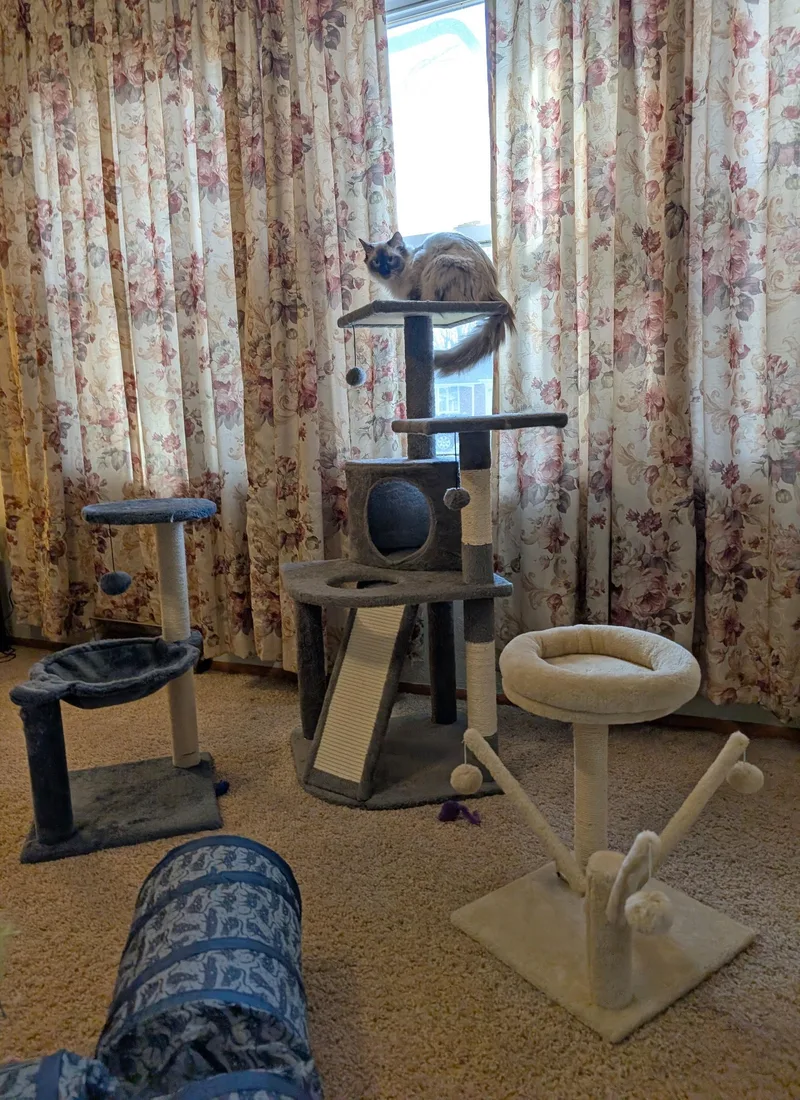 Nessus & Fuligin thumbnail 3