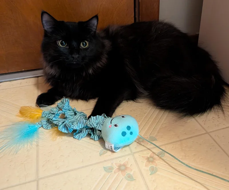 Nessus & Fuligin thumbnail 6