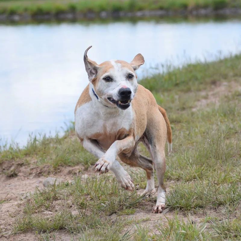 Daisy Ridley thumbnail 2