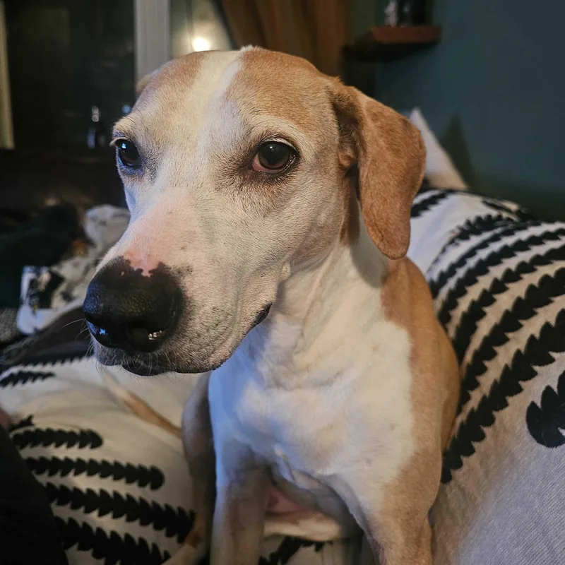 Daisy Ridley thumbnail 3