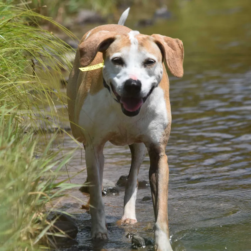 Daisy Ridley thumbnail 4