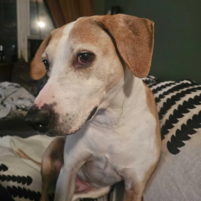 Daisy Ridley thumbnail 5