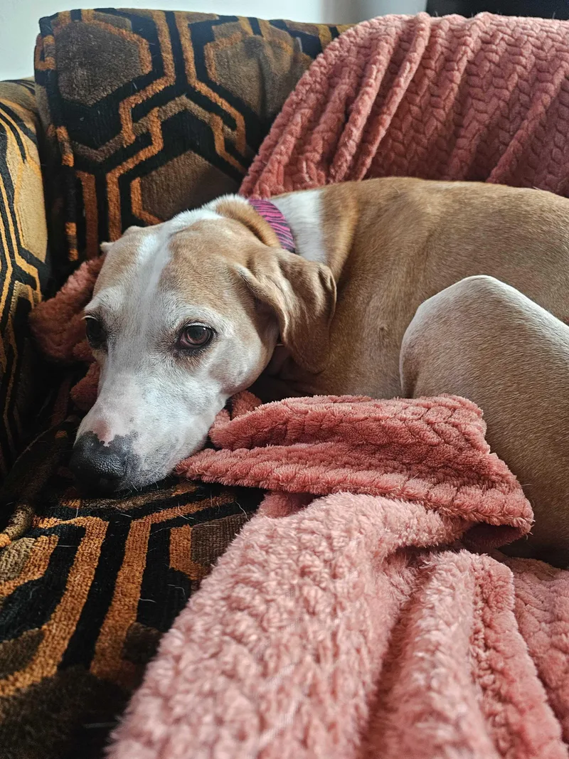 Daisy Ridley thumbnail 6