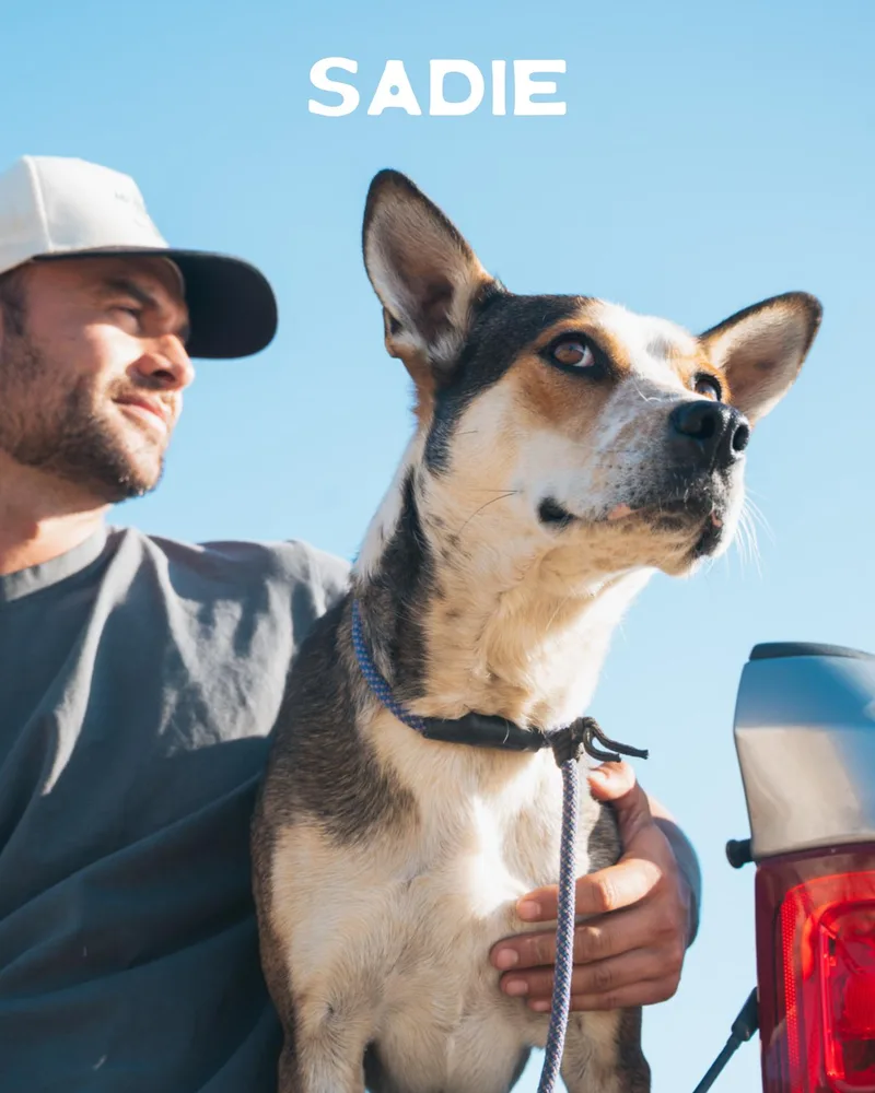 Sadie