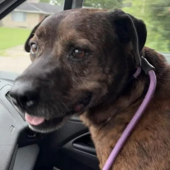 Eddie Spaghetti thumbnail 2