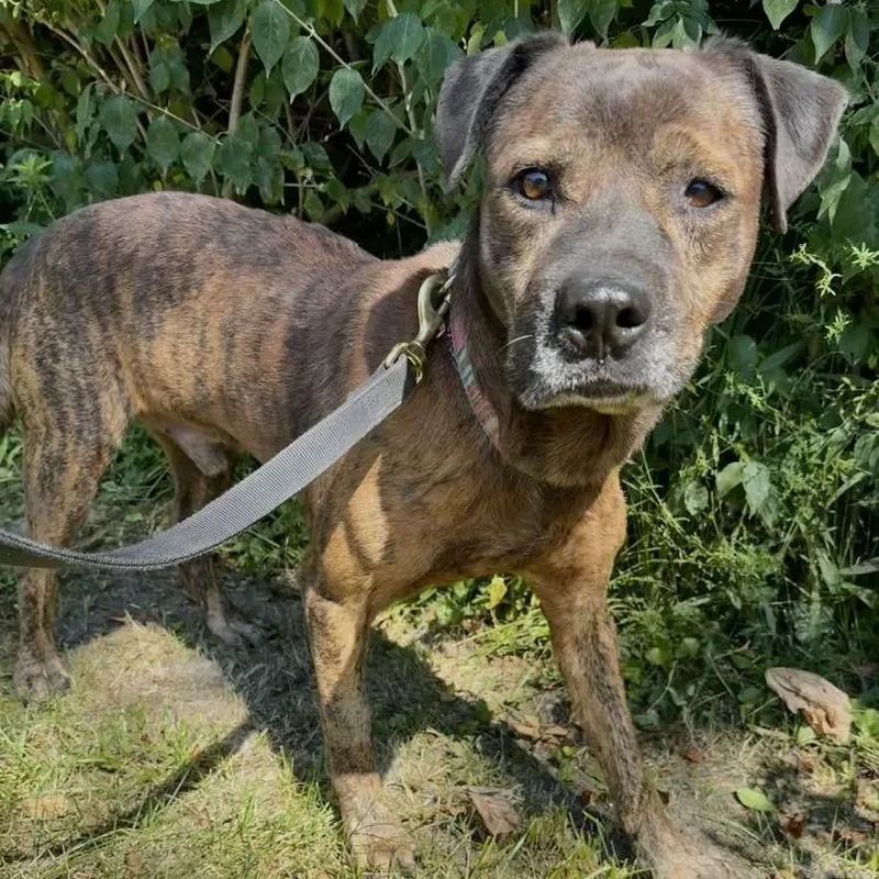 Eddie Spaghetti thumbnail 5