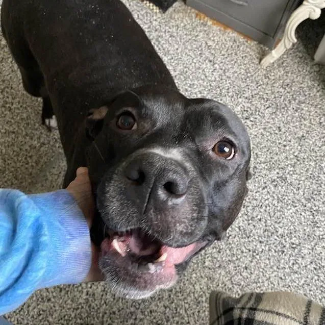 Honey Booboo thumbnail 2