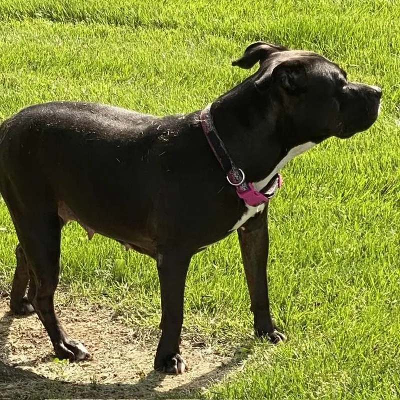 Honey Booboo thumbnail 3