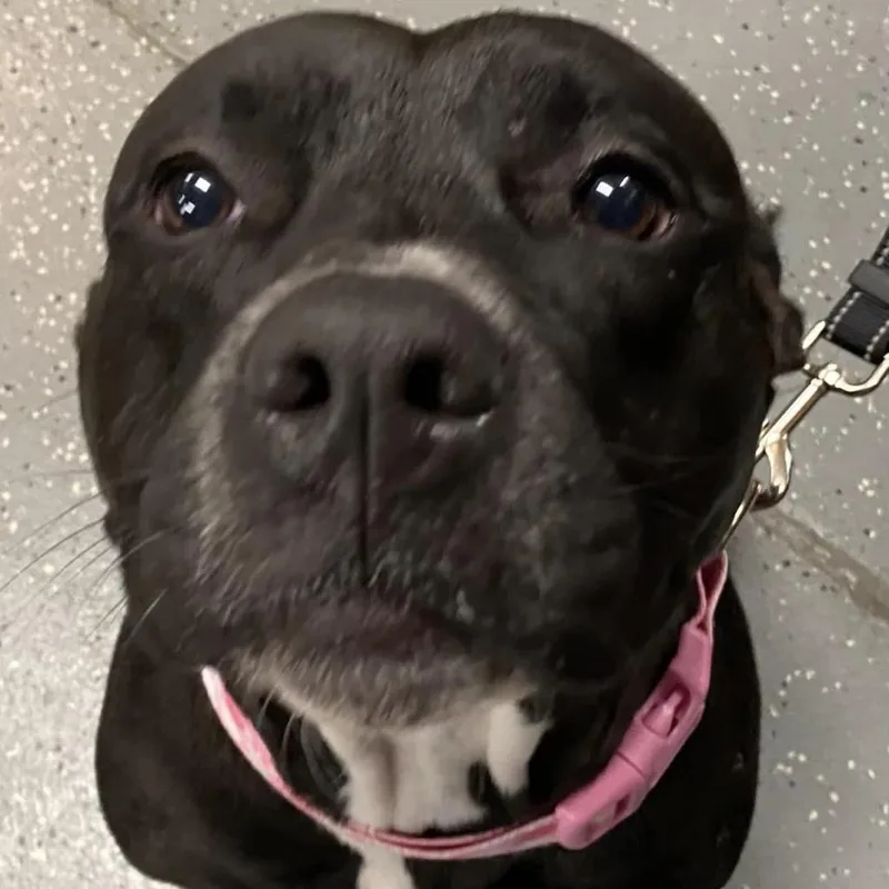 Honey Booboo thumbnail 4