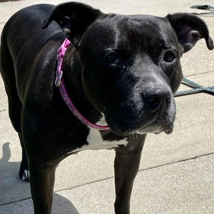 Honey Booboo thumbnail 5