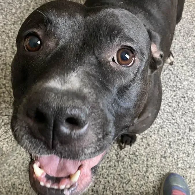 Honey Booboo thumbnail 6