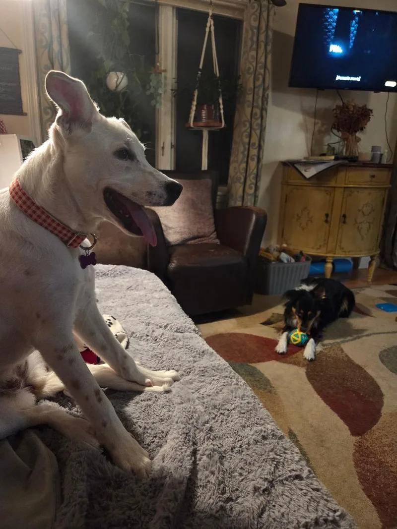 Lilly In Maine thumbnail 3