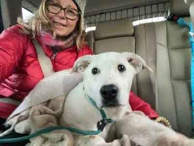 Lilly In Maine thumbnail 4