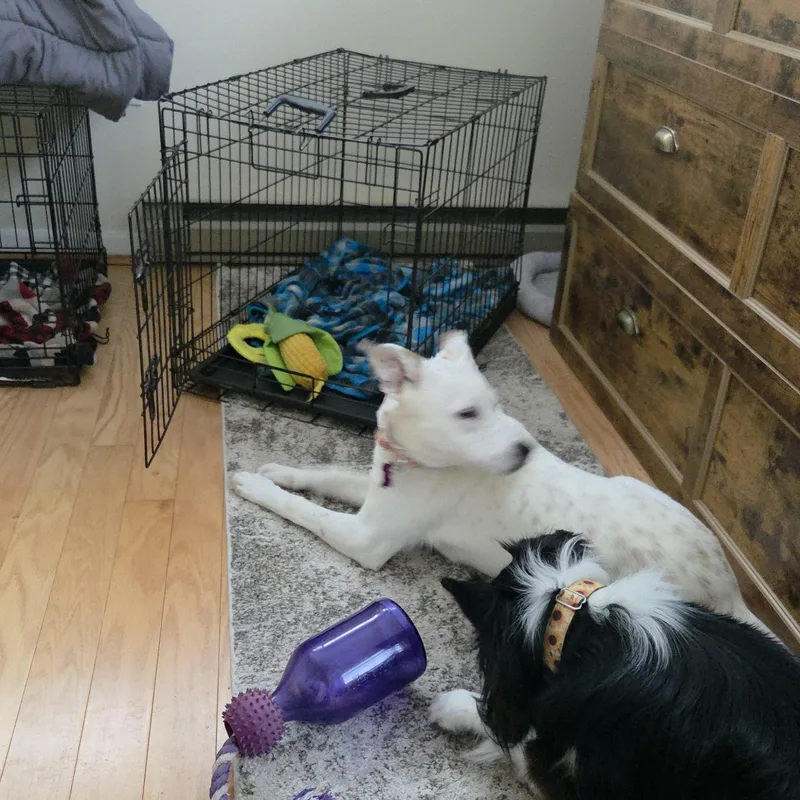 Lilly In Maine thumbnail 5