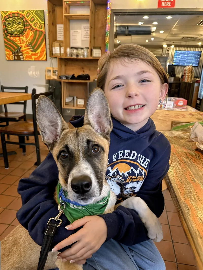 Ryder  In Mass. thumbnail 5