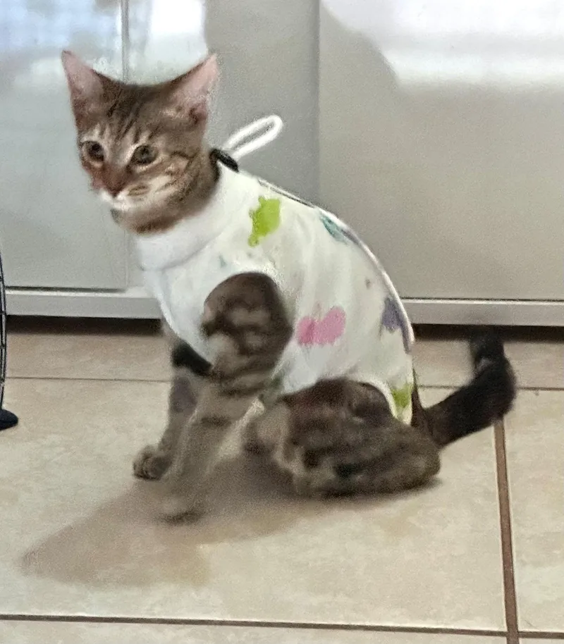 Millie....  Little Shy.... thumbnail 3