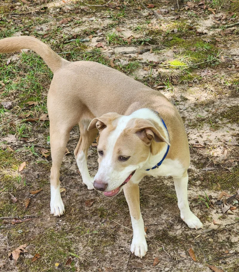 Gretchen thumbnail 3