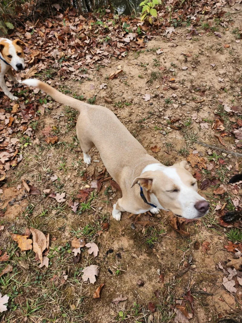 Gretchen thumbnail 4